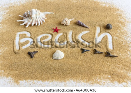 sand on a white background shells Starfish fossil shark teeth word beach written in the sand arm travel