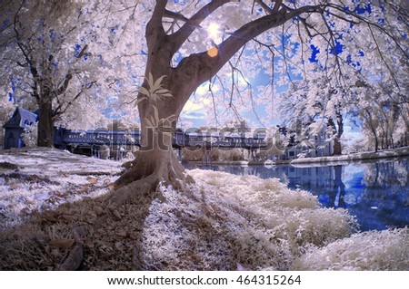 nature infrared picture reflection 