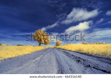 road on infrared picture