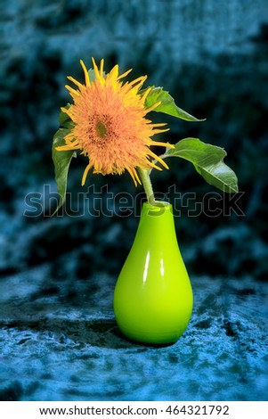 flower picture decorative sunflowers in a vase on a blue background