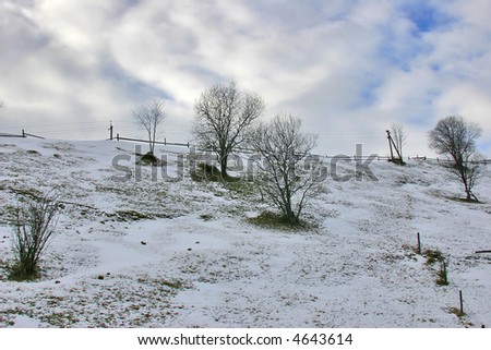 winter trees on hill under clouds