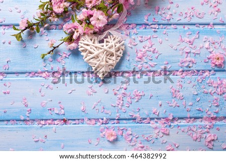 Pink  sakura flowers and white  decorative heart on blue wooden planks. Selective focus. Place for text. Flat lay. 