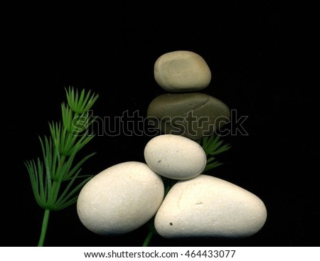 Sea stones 