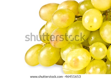 The branch of grapes isolated, on a white background