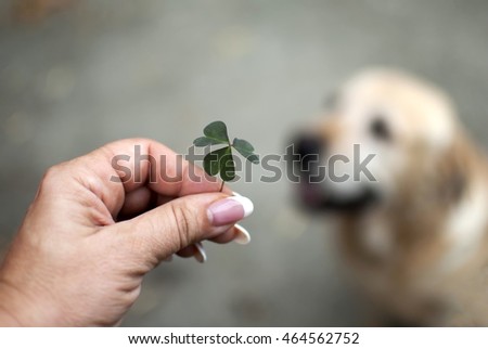 Holding clover in hand