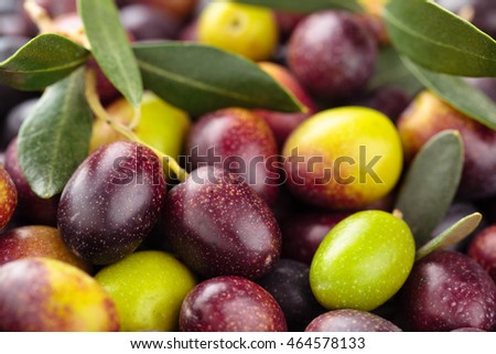 Background of fresh green and  black olives with leaves.