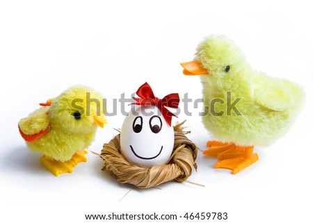 Small easter chickens with egg in nest on the white background