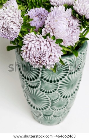 Violet astra flowers in ceramic vase isolated on white background