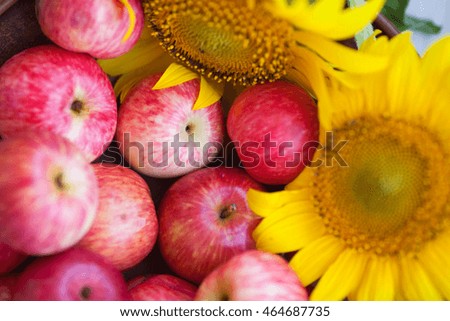 red apples and  sunflowers