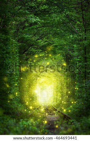 Fantastic Trees Scene- Tunnel of Love with fairy light afar, magic background Royalty-Free Stock Photo #464693441