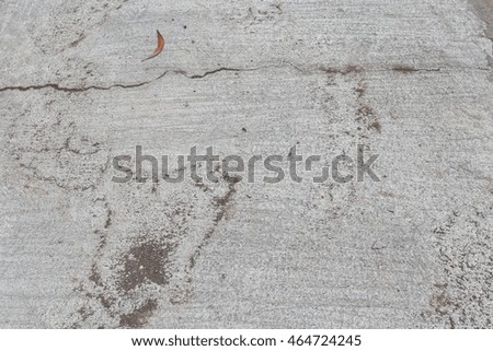 Cement floor an outdoor