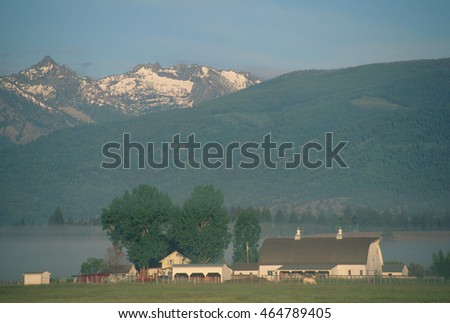 Early morning landscape of a beautiful farm with green pasture and big white barn and house with a high mountain ridge and peak in the background. Layer of ground fog in the background.