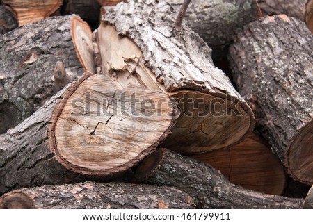 pile of firewood close-up on a cloudy day