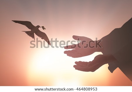 International human rights day concept: Silhouette Jesus Christ hands and bird flying over sunset background