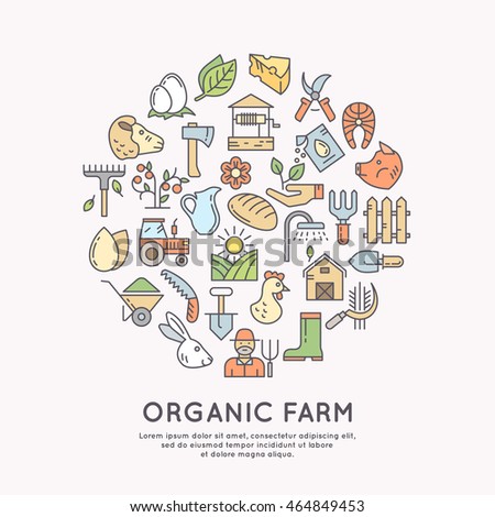 Vector illustration of organic farm. Design elements, vegetables and fruits in modern linear graph.
