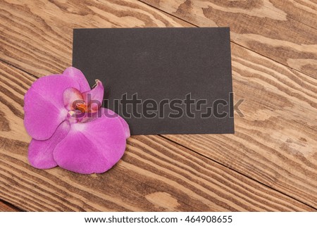 flower of purple orchid on wooden background. Black Blank, greeting card. Natural background