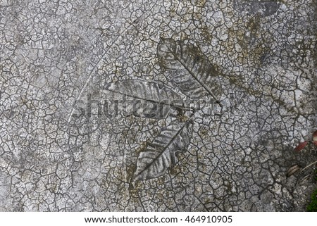 Concrete texture or background with leaf pattern
