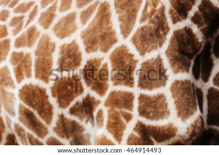 Blur abstract of giraffe textured background, animal skin
