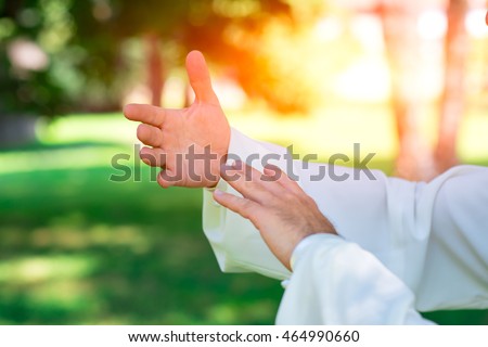 practice of Tai Chi Chuan in the park. Detail of hand positions Royalty-Free Stock Photo #464990660