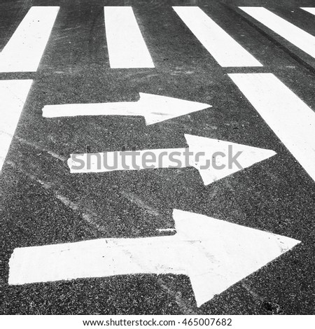 Zebra, pedestrian crossing with road marking. White arrows and rectangles on the dark asphalt