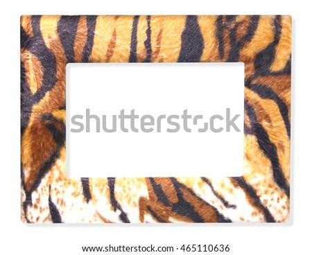 Wildlife fur tiger photo frame isolated on white background
