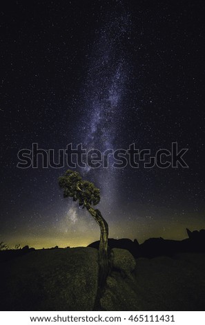 Milky Way in Joshua Tree National Park