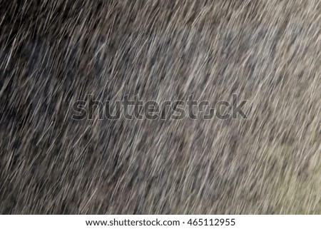 macro blurred texture of sunny rain in the garden plants background