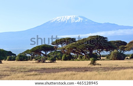 Amboseli National Park and Mount Kilimanjaro in Kenya Royalty-Free Stock Photo #465128945