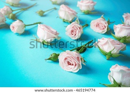 Fresh roses on blue background