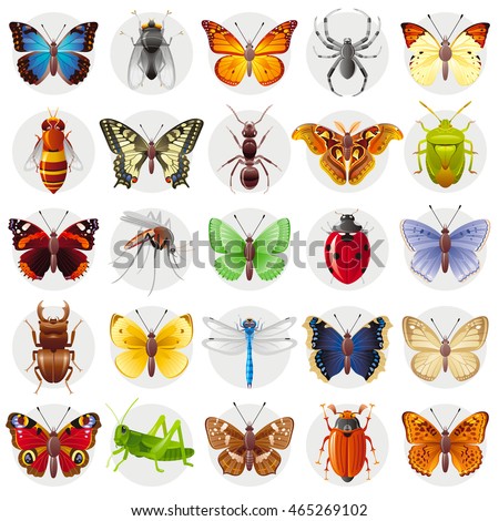 Vector illustration of insect icon set. Flying animals - peacock butterfly, spider, bee, Swallowtail, ant, atlas moth, bug, admiral, mosquito, ladybug, stag beetle, dragonfly, grasshopper, beetle. 