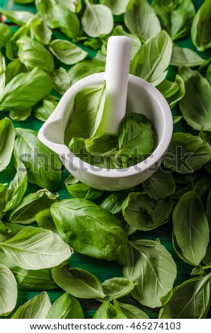 Basil raw dark picture, delicious herbs for pasta