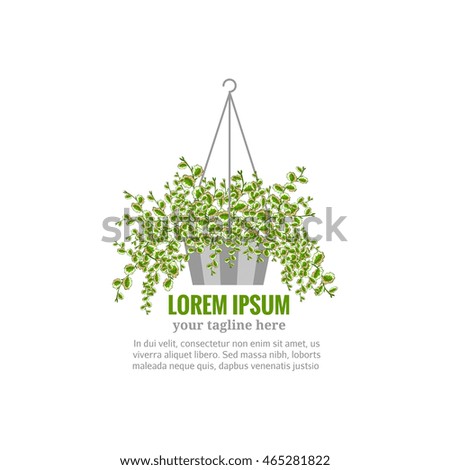 House plant logo. Home garden symbol. Background for logotype. Vector illustration isolated on white background