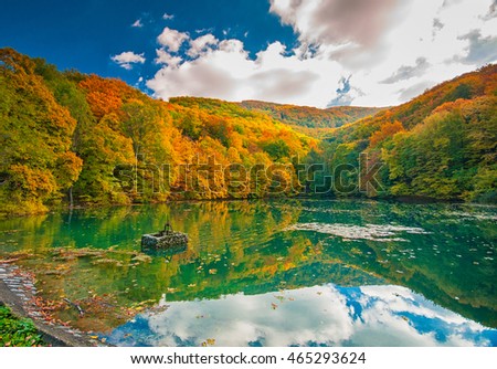 Autumn in the forest at a nice lake