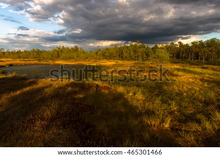 Sunset with clouds in Suda swamp