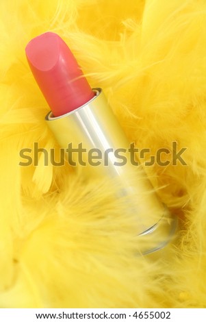 Feathers and  lipstick 1