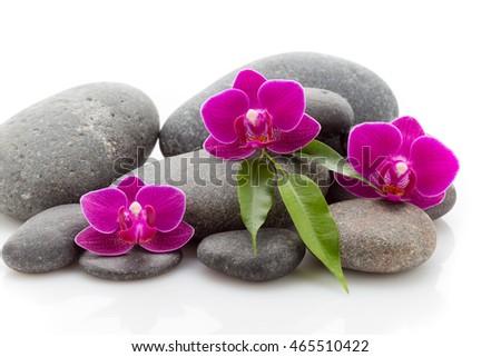 Spa masage stones and orchid isolated on the white background.