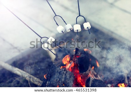 Picture showing group of friends preparing marshmallow on campfire