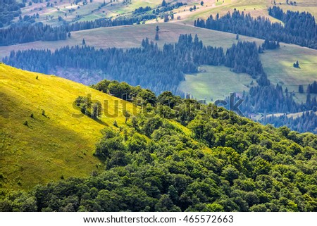 slope of mountain range with forest and meadow