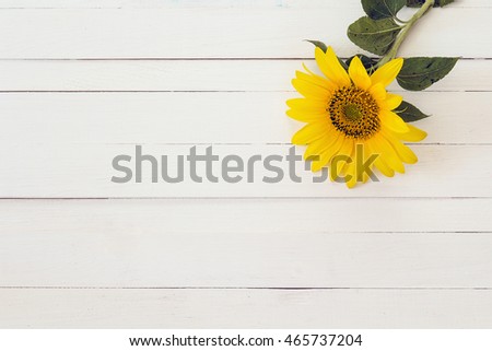 Background with yellow sunflower on a white painted wooden boards. Space for text.