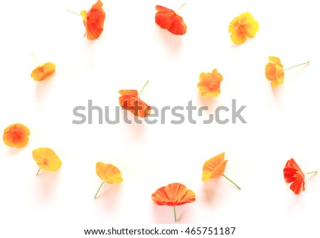 scattered garden flowers on white Royalty-Free Stock Photo #465751187