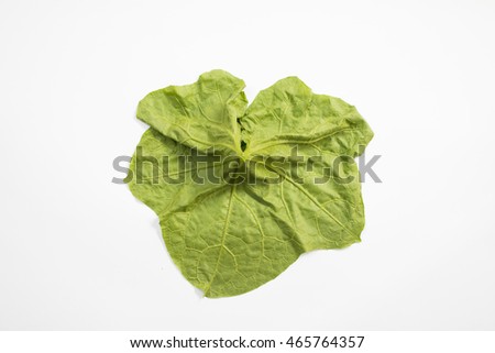 Close up of  leaves isolated on white background, top view.