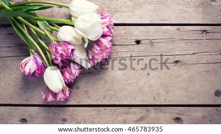 Bright  violet and white tulips flowers on aged wooden  background. Selective focus. Place for text. Flat lay still life. Toned image.