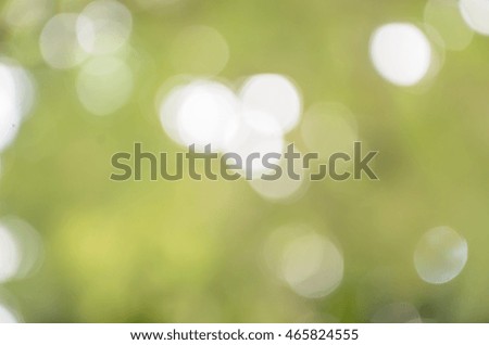 Bokeh and light green color background