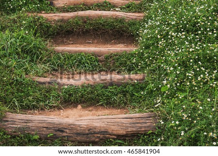Outdoor stairway in garden with solid wooden path