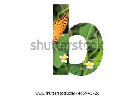The letter "b" with butterfly background inside