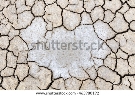 Picture concept and ideas about drought, the shell.
