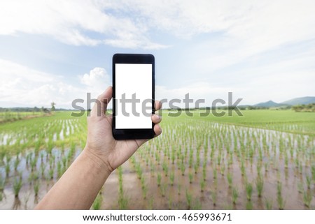 asian man holding white screen smart phone on the hand with rice field background