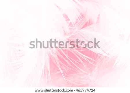 Coral Pink vintage color trends chicken feather texture background