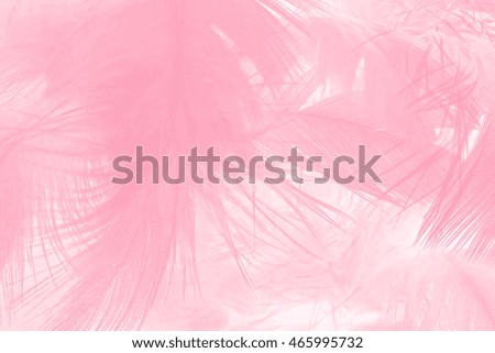 Coral Pink vintage color trends chicken feather texture background