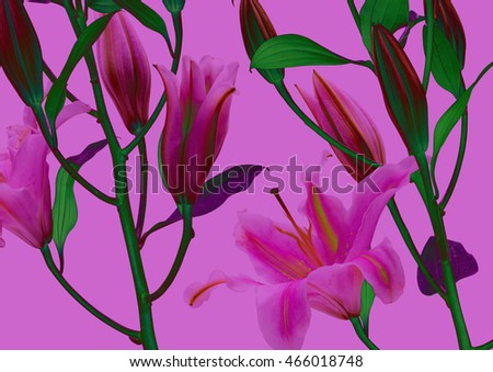 Lilly Flower, Abstract Colorful Background